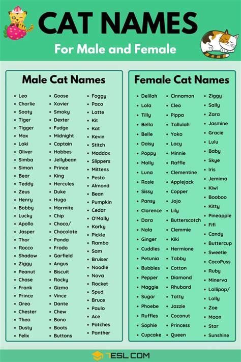 ORIGINAL NAME OF CASTS AND THEIR .